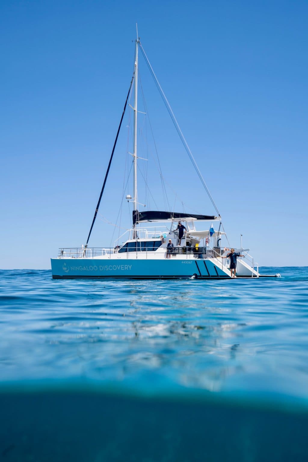 Whale shark season officially starts for 2026, with encounter recorded by Ningaloo Discovery eco tours