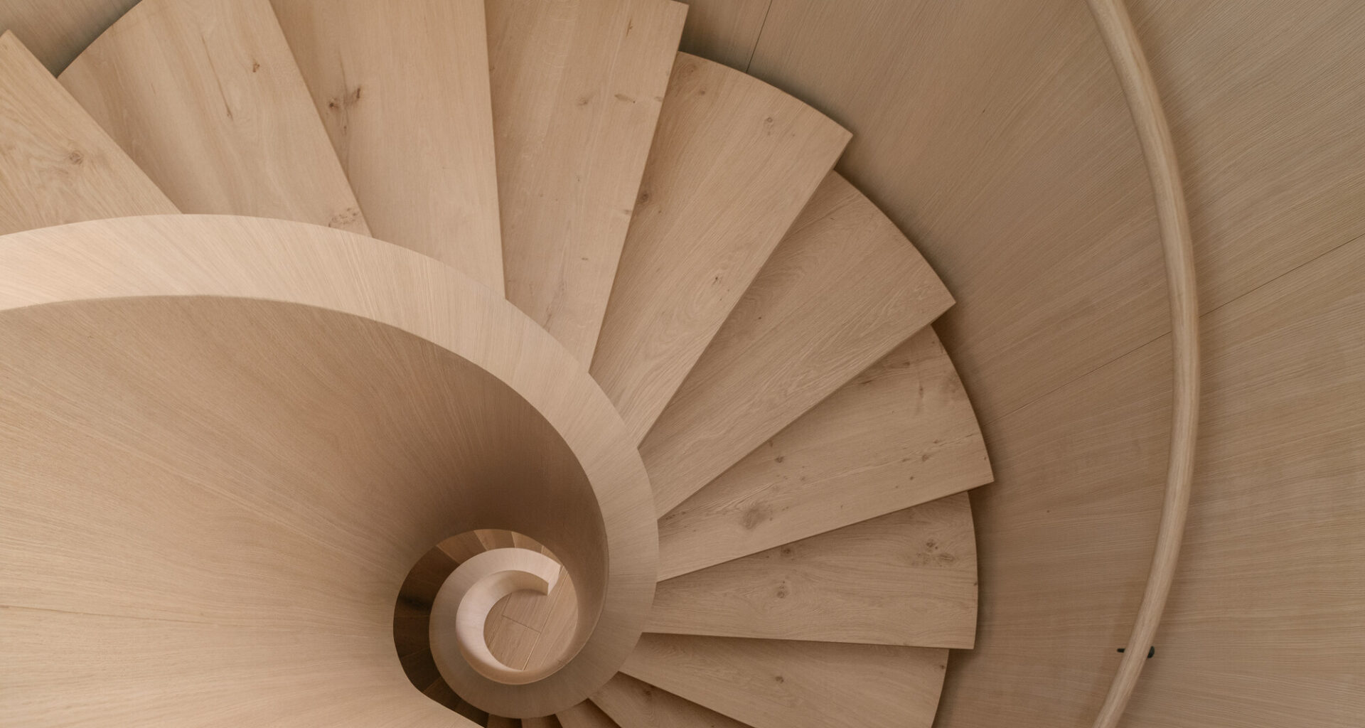 Transforming a Concrete Shell into a Wooden Interior Shaped by the Sea