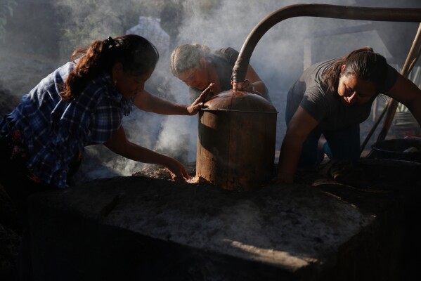 Elena Aragón Hernández, from left, Gladys Sánchez Garnica and Mayra Rosales Santiago help each other as they distill mezcal in San Pedro Totolapam, Wednesday, Jan. 21, 2026. (AP Photo/Claudia Rosel)