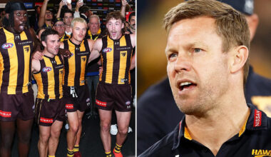 AFL news: Huge boost for Hawthorn as star learns fate after incident against Sydney Swans