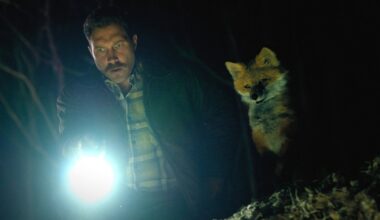 Top 8 Films, From Noah Kahan Doc to 'Over Your Dead Body'