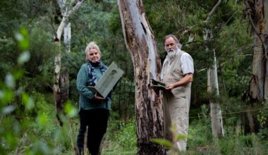 Wildlife poachers may be to blame for damaged nest boxes