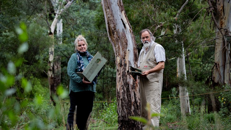 Wildlife poachers may be to blame for damaged nest boxes