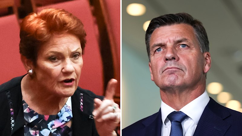 Opposition Leader plans assault on One Nation's credibility to avoid South Australia-style wipeout