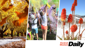 Your morning news Newsletter