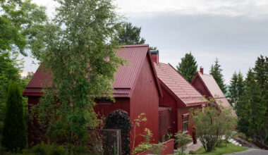 Chr. Tomters veg house / Rever & Drage Architects