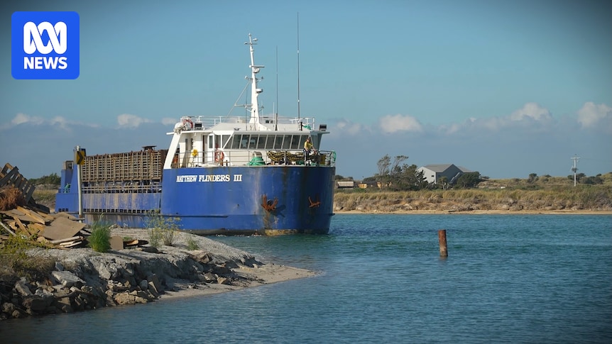 Shipping boss pushes for new Bridport channel entrance to stop his ship running aground