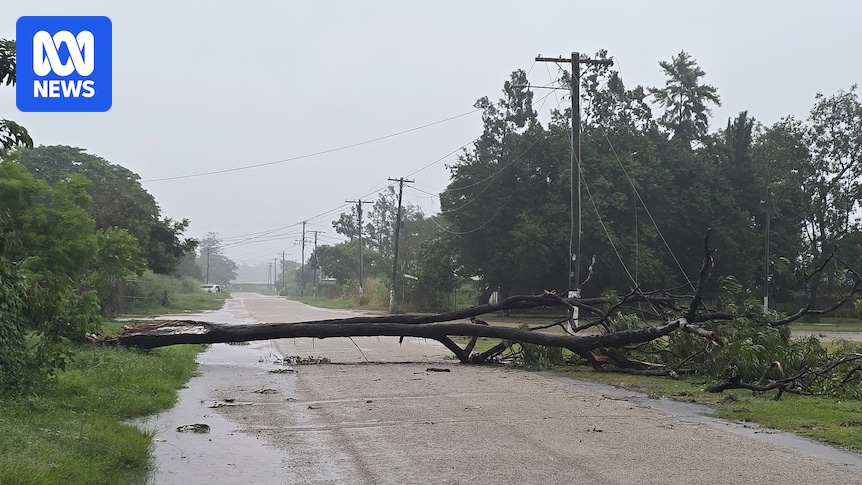 Far North Queensland residents re-open businesses after ex-Tropical Cyclone Narelle