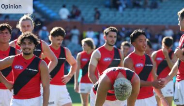 These senior Essendon Bombers players should be on notice