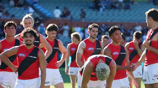 Essendon’s young players need support and guidance and leadership