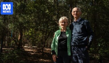 Retirees grow native forest from scratch on Tasmanian conservation covenant