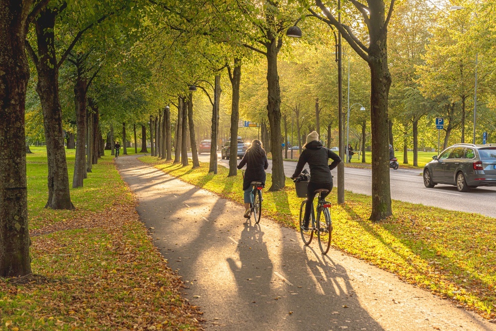 A New Cycling Route Is Opening In Europe This Spring Through Wildflower Fields and Culinary Towns
