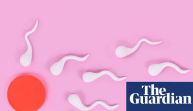 More frequent ejaculations may boost men’s fertility, research suggests | Fertility problems