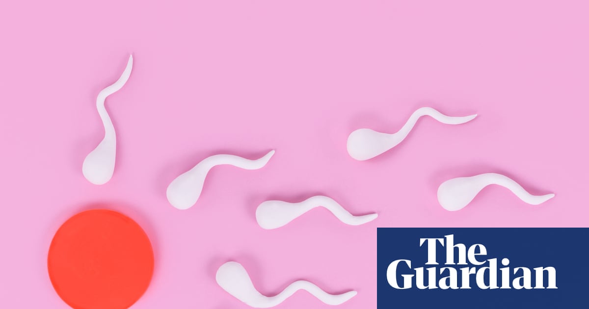 More frequent ejaculations may boost men’s fertility, research suggests | Fertility problems