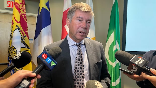 New virtual health-care provider isn't ready, but there are no delays, minister says