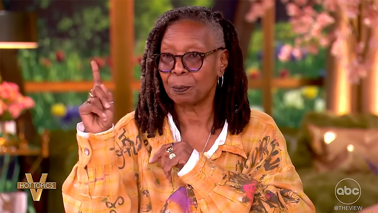Whoopi Goldberg rebuked by 'The View' co-hosts after saying she shows ID to vote