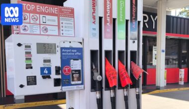Government talks down fuel rationing, as Chalmers concedes 5 per cent inflation scenario 'conservative'