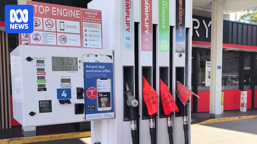 Government talks down fuel rationing, as Chalmers concedes 5 per cent inflation scenario 'conservative'