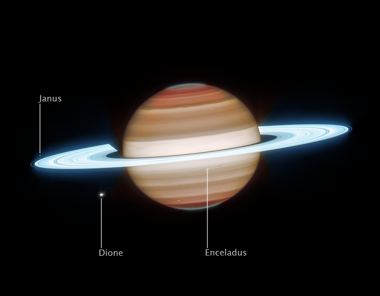 An image of Saturn on the black background of space. Image is labeled Saturn, Webb Infrared Light, November 29, 2024. Saturn has horizontal bands, with bands at the north and south poles appearing darker orange and lightening to tan as they approach the equator. The north and south poles glow a greenish-grey. The rings appear in an icy neon white. White dots, representing several of Saturn’s moons, are labeled Janus, Dione, and Enceladus.
