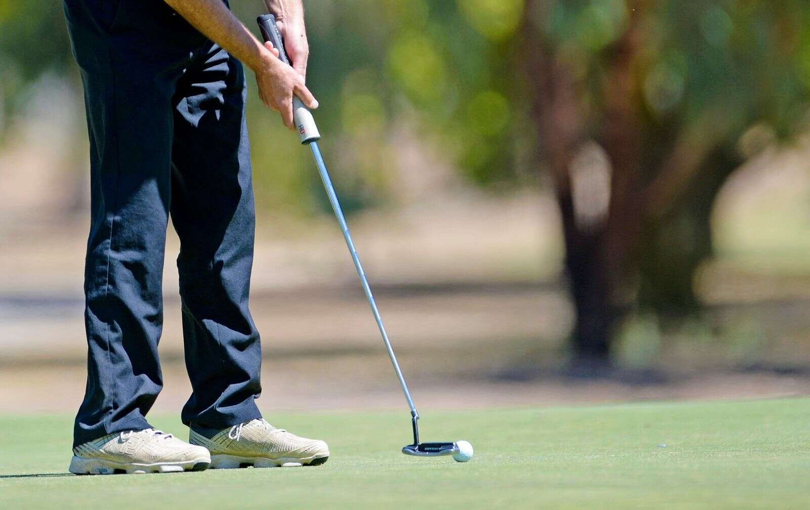 Enviable leaders clear in top quality golf