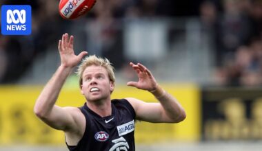 AFL concussion class action expands to more than 100 former players and 11 clubs