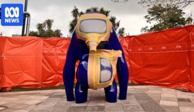 Mount Gambier woman convicted of graffitiing Cast in Blue sculpture