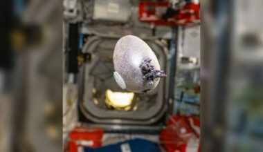 NASA astronaut posted a photo on social media of a bizarre object growing in space