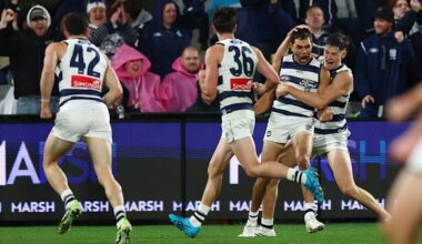 Tom Atkins umpire last touch decision controversy in Geelong Cats versus Adelaide Crows clash