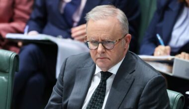 Albanese government divided over tech giants' access to Australian content