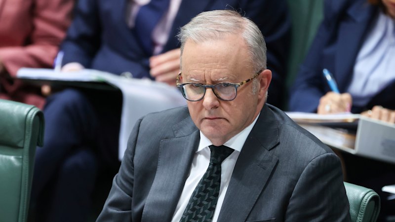 Albanese government divided over tech giants' access to Australian content