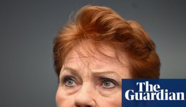Pauline Hanson’s One Nation likely to win second South Australian lower house seat | South Australian election 2026
