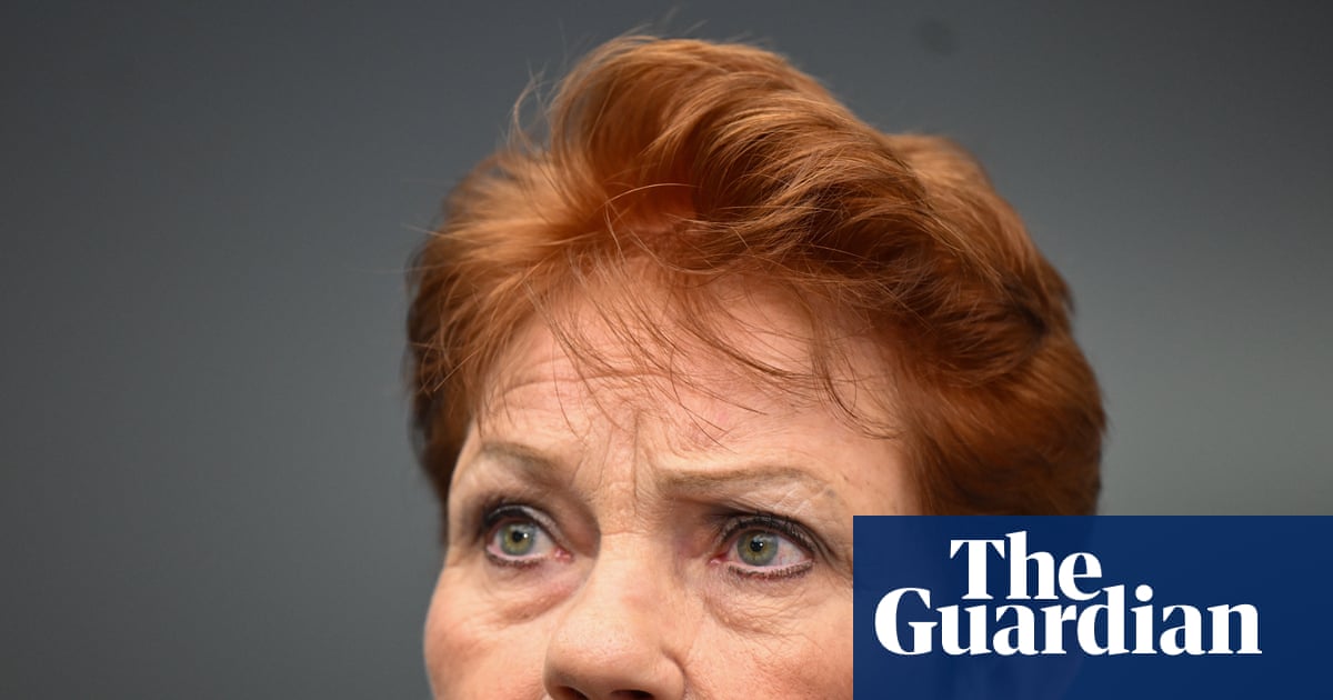 Pauline Hanson’s One Nation likely to win second South Australian lower house seat | South Australian election 2026