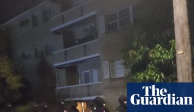 Lawyers criticise ‘extreme’ arrest of Isaac Herzog protester after NSW police release video | Australian police and policing