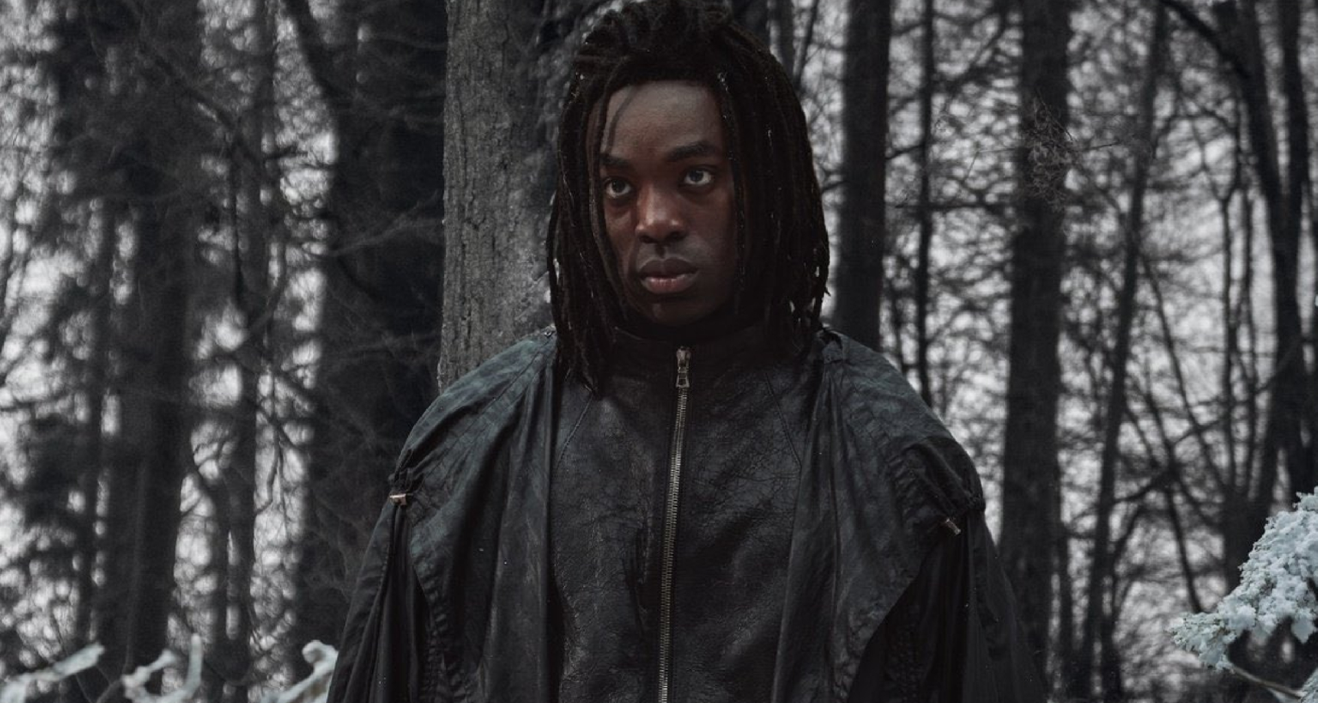 Snape in the Harry Potter TV Show