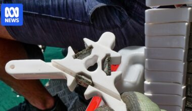 Hand-raised baby corals bring hope of restoring Great Barrier Reef