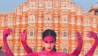 Jaipur Pink Elephant Photoshoot Controversy