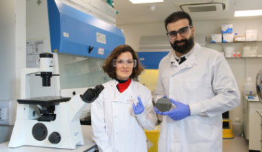 Brain Wiring Model May Speed New Drug Discovery