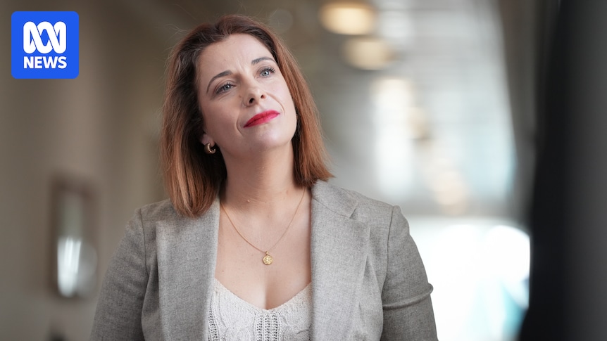 Five social media platforms investigated over compliance with under-16 ban