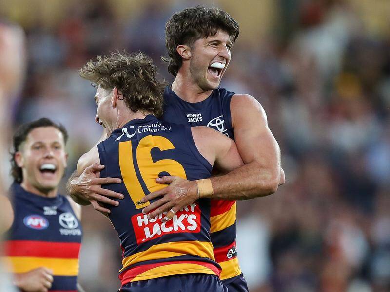 Delayed concussion symptoms mean Jordon Butts will miss the Crows' next two matches. Photo: Matt Turner/AAP PHOTOS