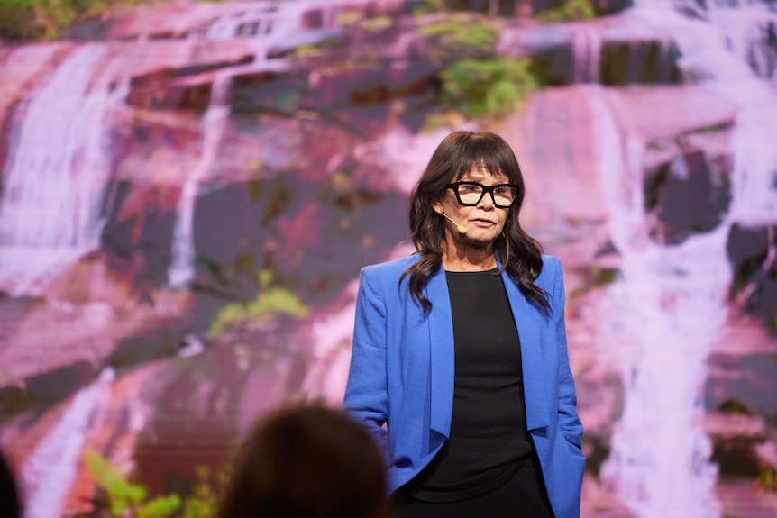 A picture of a waterfall on wall with Rhoda speaking in front wearing a blue jacket