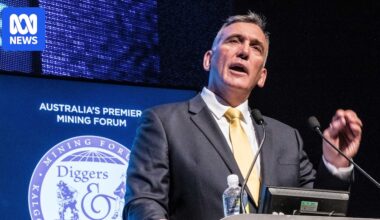 Iron ore miner Fenix Resources came within days of running out of fuel as Middle East war prompts rethink