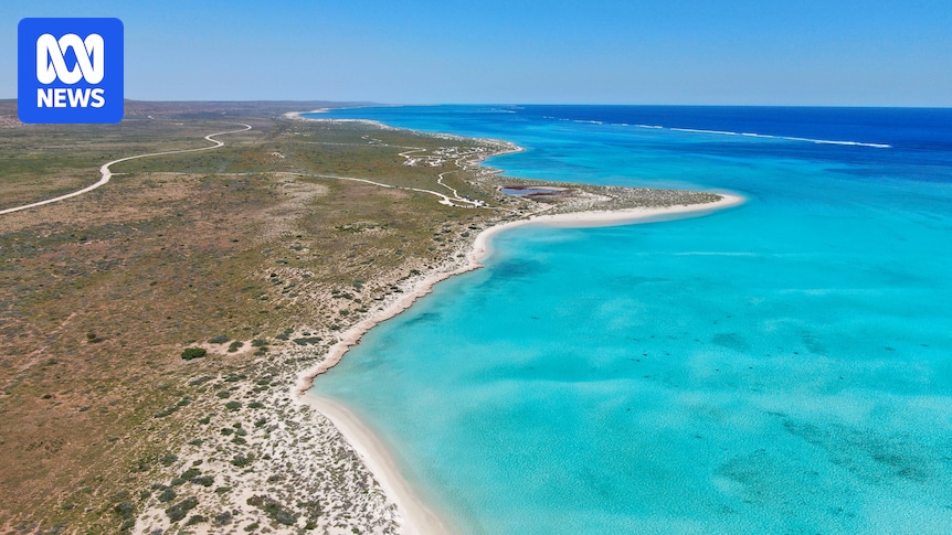 Tourists told to stay away from cyclone-ravaged Exmouth, Coral Bay and Onslow