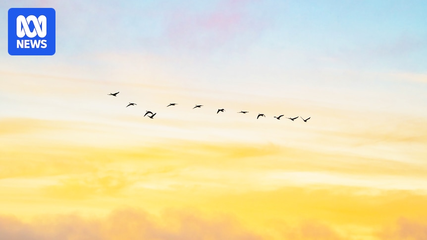 Guide to Listening: Holy Week, Passover and Easter on ABC Classic