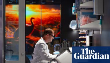 Can scientists really resurrect the dodo? Inside the company that says they can | US news