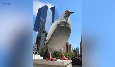 Petition to save 'Dinosaur' pigeon statue at High Line elevated park in Manhattan