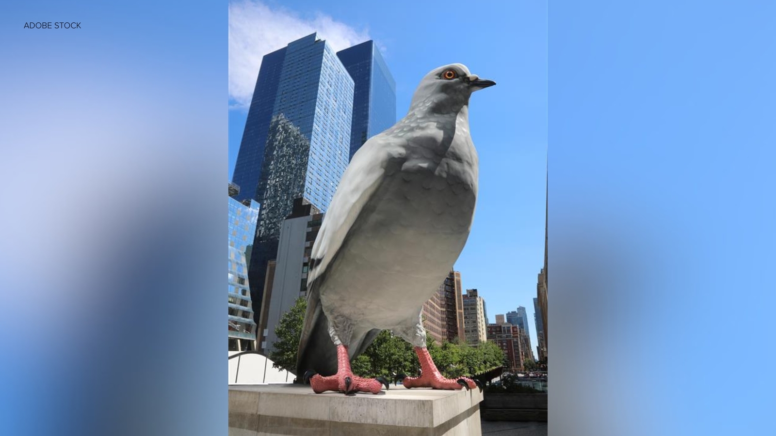 Petition to save 'Dinosaur' pigeon statue at High Line elevated park in Manhattan