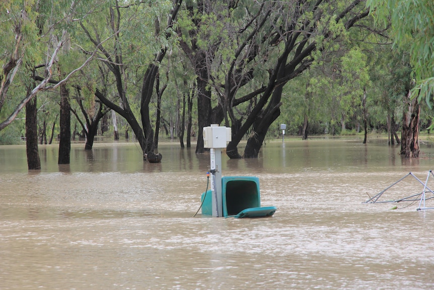 flooded campground and flooded green bin on the ground