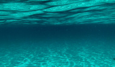 underwater