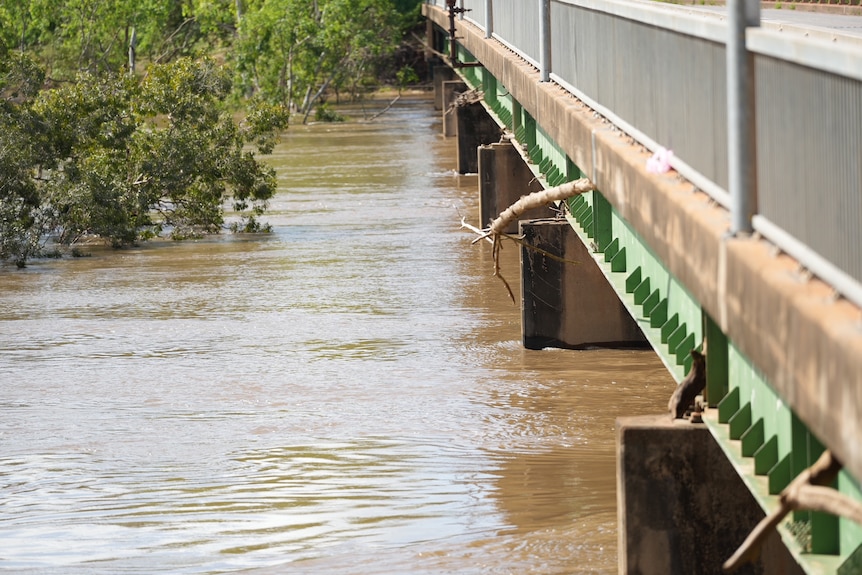 Brown river water levels rising along side a metal bridge, as a tree branch pokes out side of bridge.