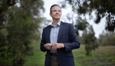 Fake grass banned at new housing development